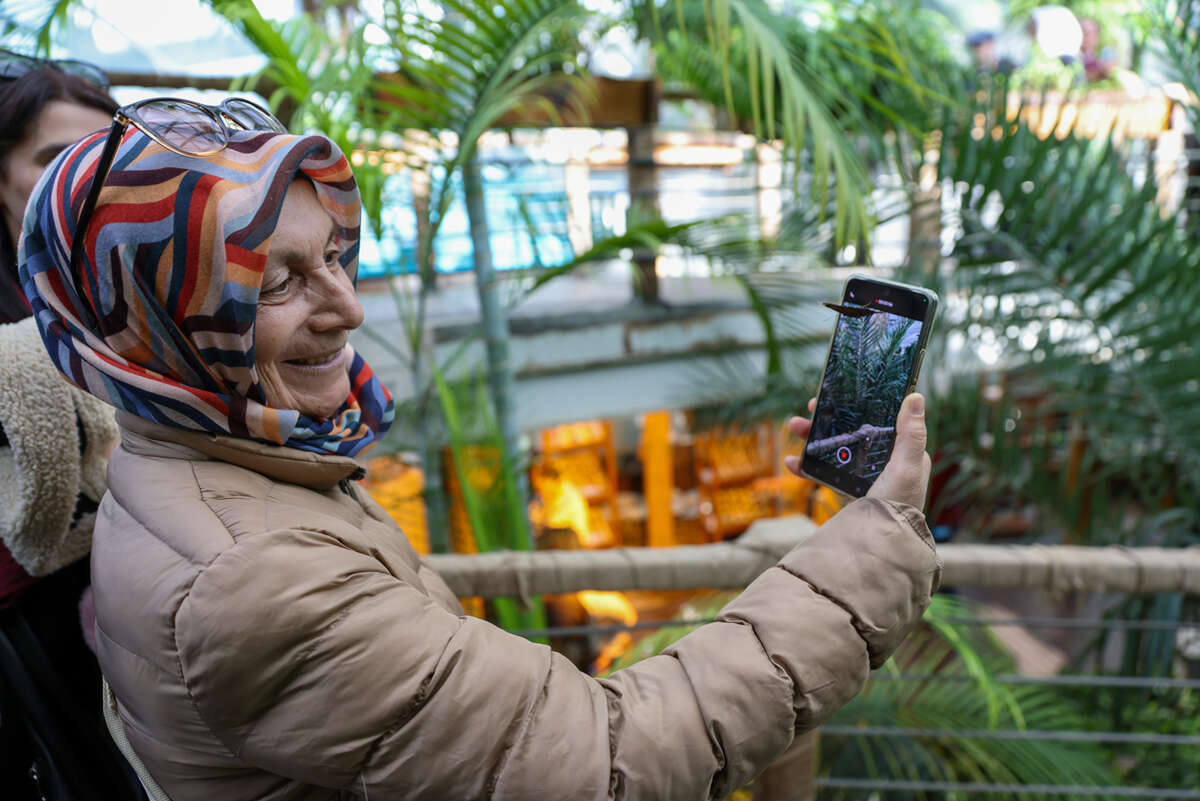 Selçuklu’nun sembolleri 10 günde rekora koştu 12